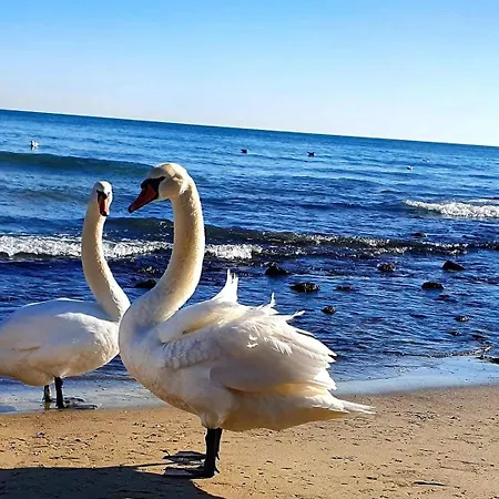 Sealovers' Nest Апартамент Варна