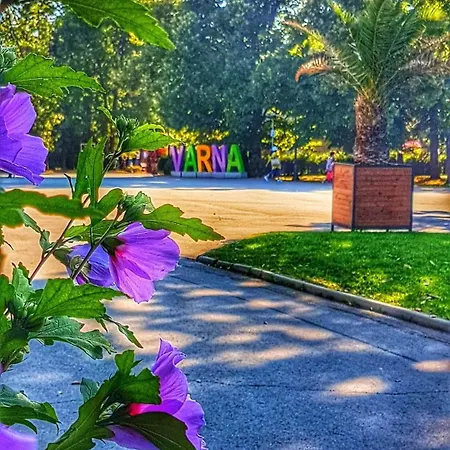 Sealovers' Nest * Варна