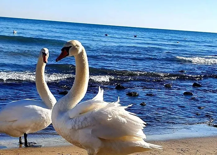 Sealovers' Nest Daire Varna